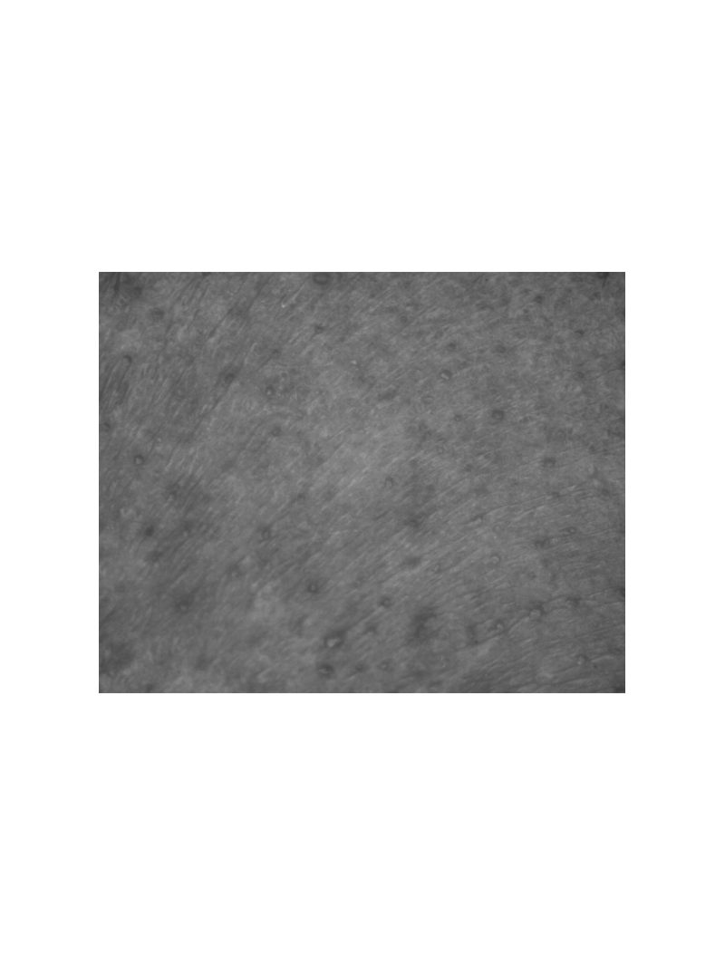 Kelaya Preliminar K – Peeling Químico Facial AHA 15×2 ml