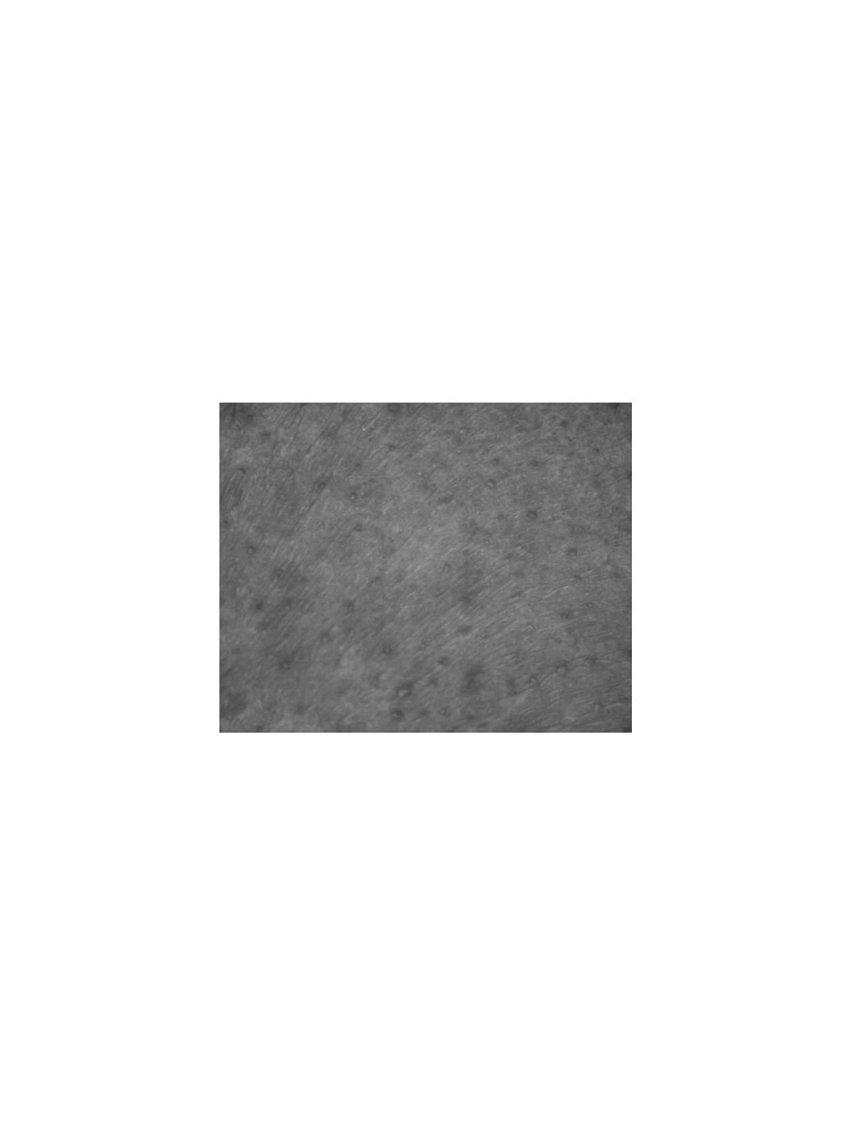 Kelaya Preliminar K – Peeling Químico Facial AHA 15×2 ml